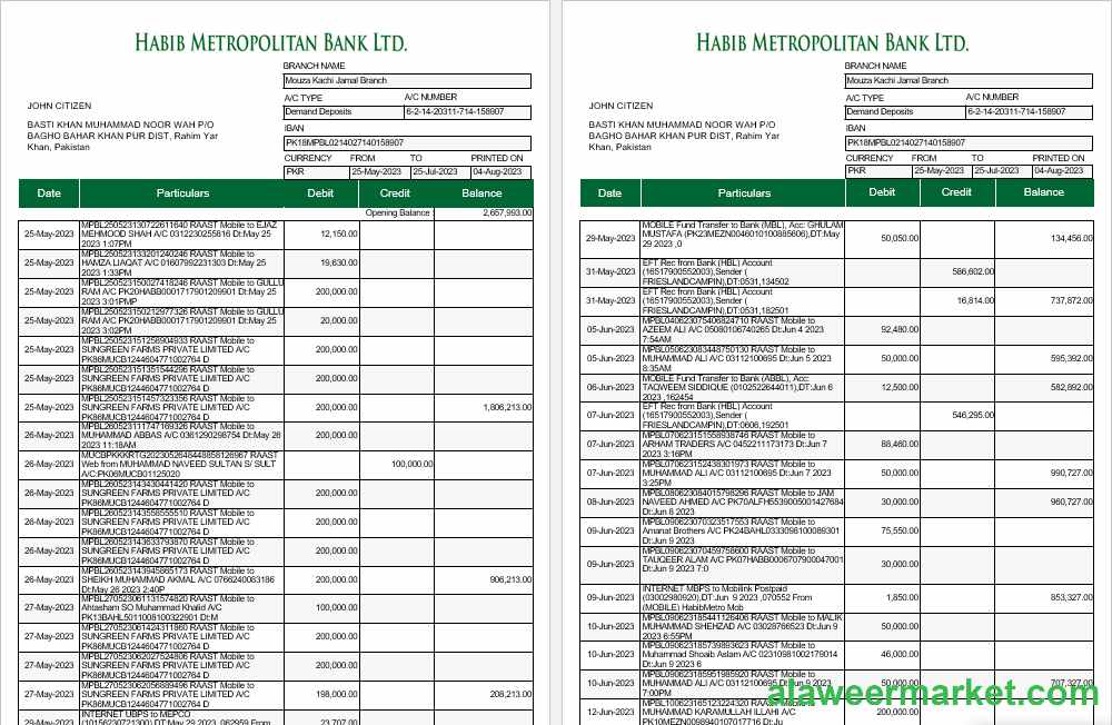 Pakistan Habib Metropolitan bank statement Word and PDF template, 5 pages 1 2